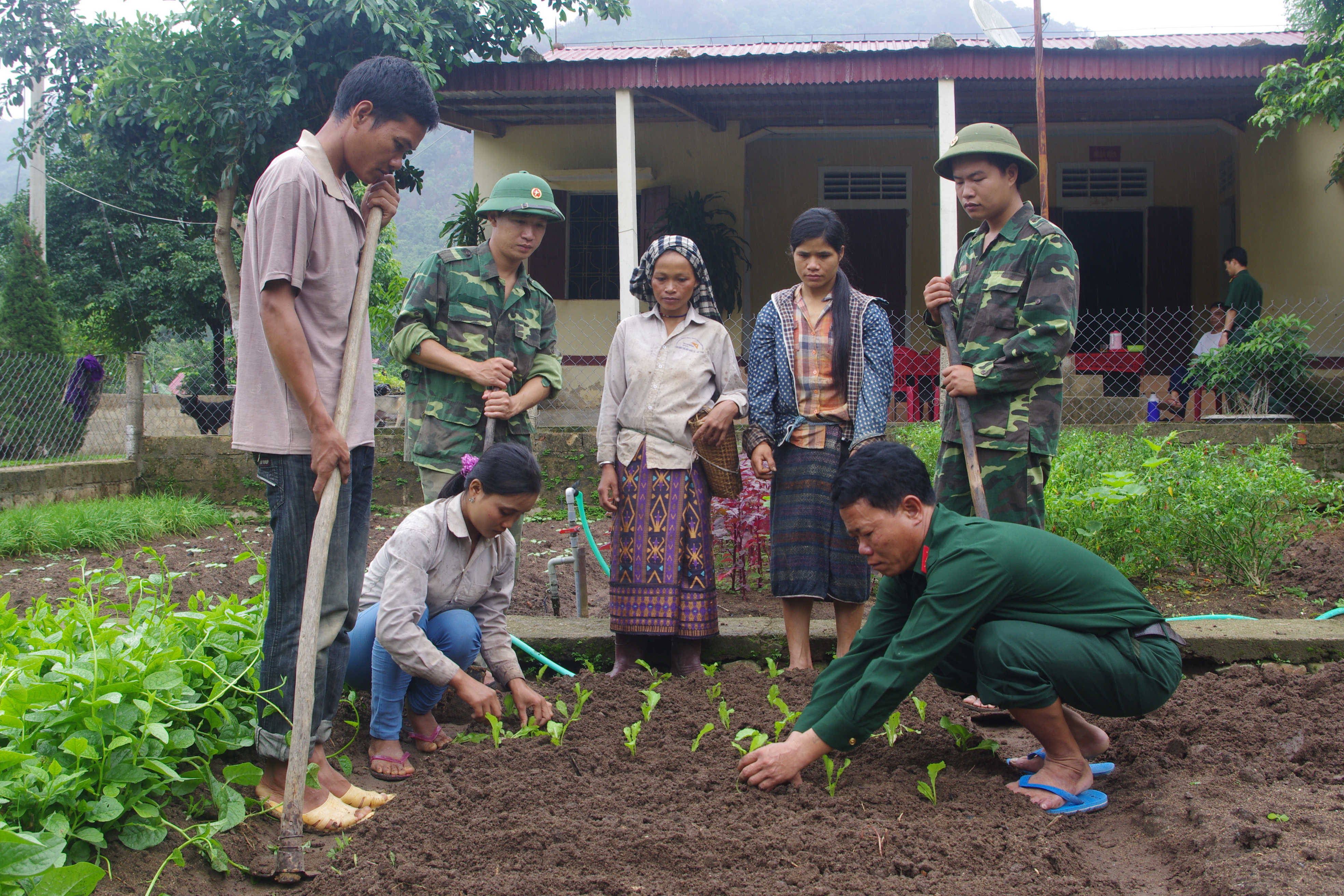 Tình quân dân dưới chân đèo Sa Mù